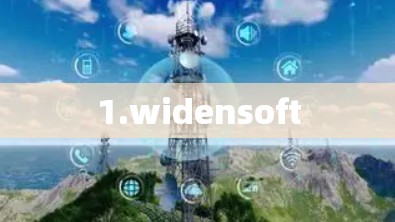 1.widensoft