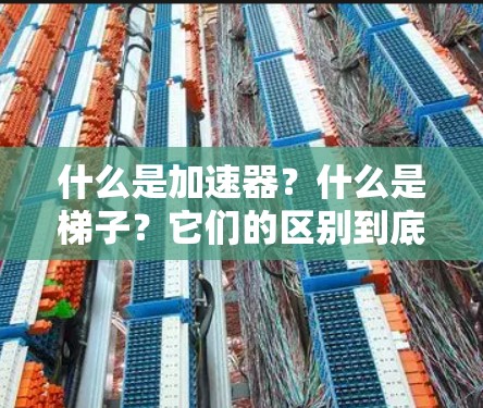 什么是加速器？什么是梯子？它们的区别到底有多大？