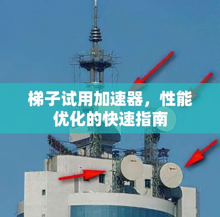 梯子试用加速器，性能优化的快速指南