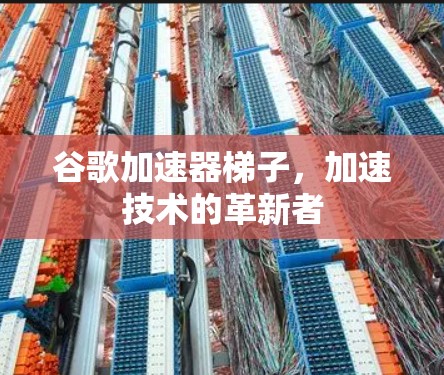 谷歌加速器梯子，加速技术的革新者