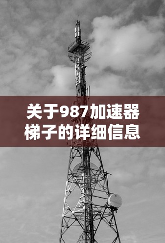 关于987加速器梯子的详细信息，以下是一个分步的解释