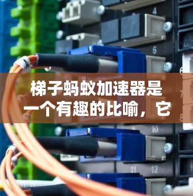 梯子蚂蚁加速器是一个有趣的比喻，它将蚂蚁和资源加速的概念结合起来。以下是对这个比喻的逐步解释