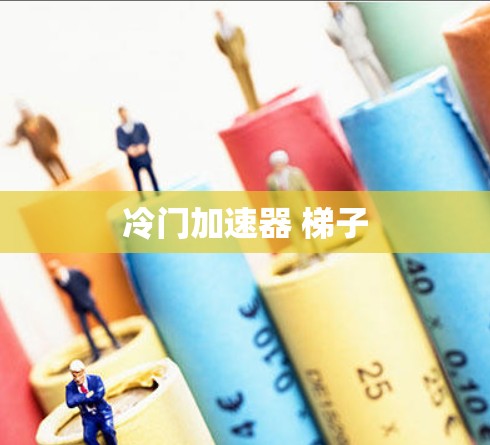 冷门加速器 梯子