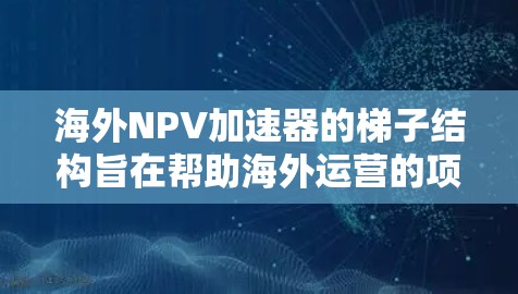 海外NPV加速器的梯子结构旨在帮助海外运营的项目高效计算净现值(NPV)并考虑复杂的因素以提高决策的准确性。以下是对海外NPV加速器的梯子结构的详细说明 海外NPV加速器的梯子结构旨在帮助海外运营的项目高效计算净现值(NPV)并考虑复杂的因素以提高决策的准确性。以下是对海外NPV加速器的梯子结构的详细说明