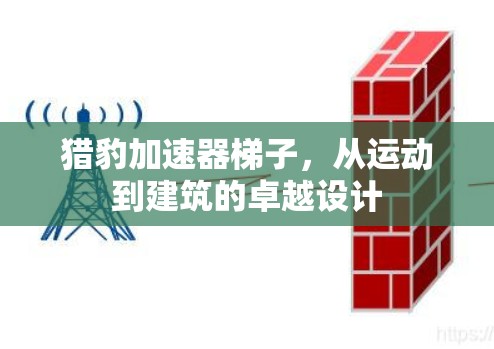 猎豹加速器梯子，从运动到建筑的卓越设计