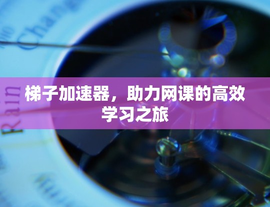 梯子加速器，助力网课的高效学习之旅