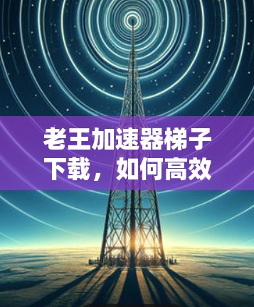 老王加速器梯子下载，如何高效下载梯子文件