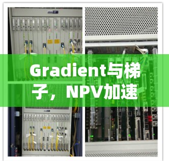 Gradient与梯子，NPV加速器中的智慧