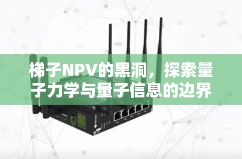 梯子NPV的黑洞，探索量子力学与量子信息的边界