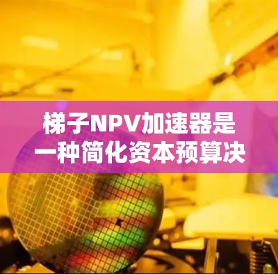 梯子NPV加速器是一种简化资本预算决策过程的方法，通过将项目按时间顺序排列并分阶段计算，显著减少了NPV的计算量。以下是梯子NPV加速器的具体步骤和原理