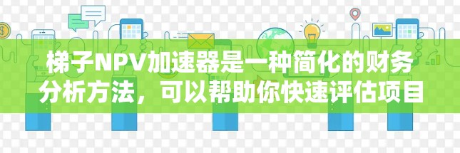 梯子NPV加速器是一种简化的财务分析方法，可以帮助你快速评估项目在不确定性和不确定性下的风险。以下是使用梯子NPV加速器分析小鸟投资的步骤