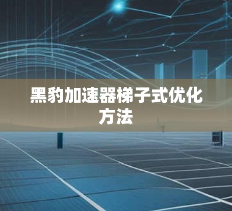 黑豹加速器梯子式优化方法