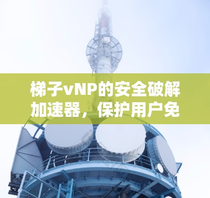 梯子vNP的安全破解加速器，保护用户免受恶意攻击