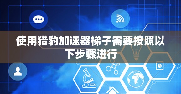 使用猎豹加速器梯子需要按照以下步骤进行