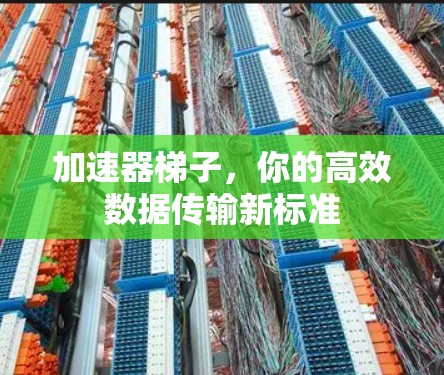 加速器梯子,你的高效数据传输新标准 加速器梯子,你的高效数据传输新标准