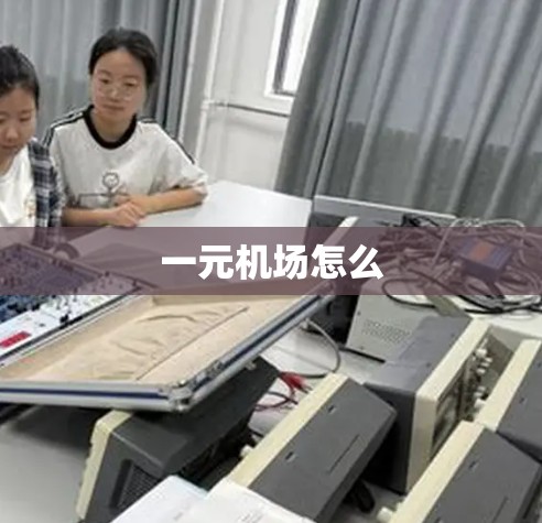一元机场怎么