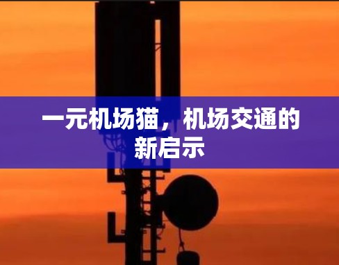 一元机场猫，机场交通的新启示
