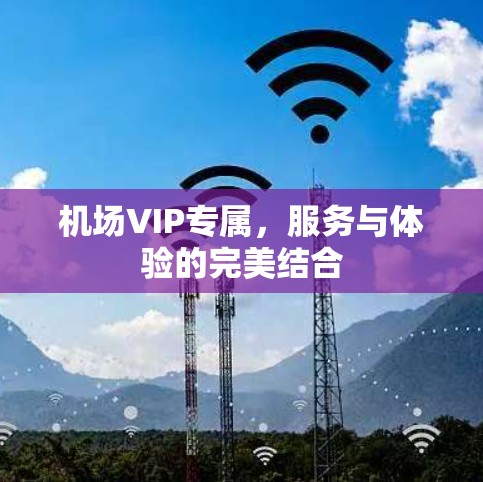 机场VIP专属，服务与体验的完美结合
