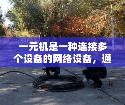 一元机是一种连接多个设备的网络设备,通过以下步骤实现网络连接和管理 一元机是一种连接多个设备的网络设备,通过以下步骤实现网络连接和管理