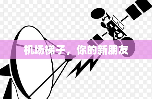 机场梯子,你的新朋友 机场梯子,你的新朋友