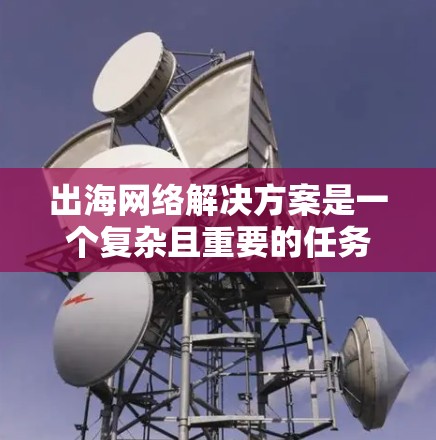 出海网络解决方案是一个复杂且重要的任务，需要考虑多个因素，包括行业需求、公司规模、客户需求、市场环境以及技术可行性。以下是一些常见的出海网络解决方案和关键点，供你参考