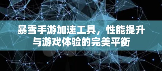 暴雪手游加速工具，性能提升与游戏体验的完美平衡