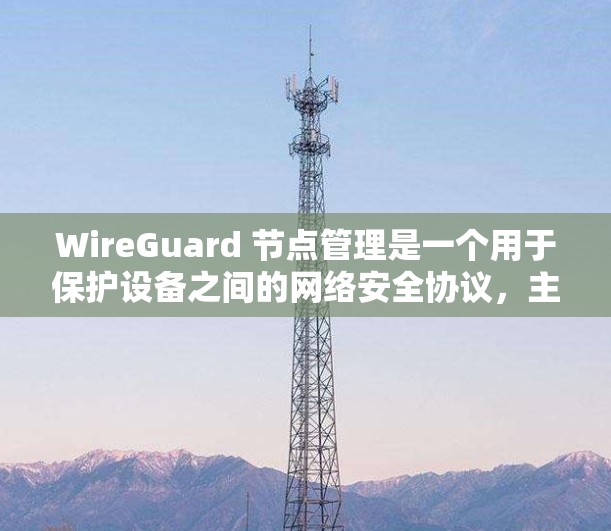 WireGuard 节点管理是一个用于保护设备之间的网络安全协议，主要涉及加密、设备管理以及安全机制。以下是对该领域的详细介绍