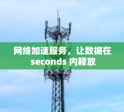 网络加速服务，让数据在 seconds 内释放