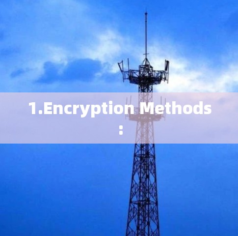 1.Encryption Methods: