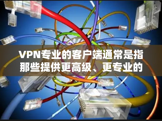 VPN专业的客户端通常是指那些提供更高级、更专业的VPN服务的客户端，而不是简单的流量控制工具。以下是关于VPN专业版客户端的一些关键点和建议
