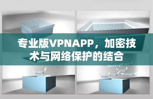 专业版VPNAPP，加密技术与网络保护的结合