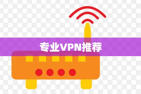 专业VPN推荐