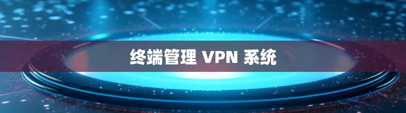 终端管理 VPN 系统