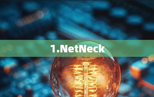 1.NetNeck