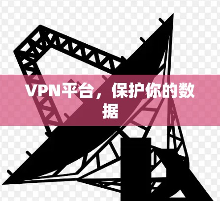 VPN平台，保护你的数据