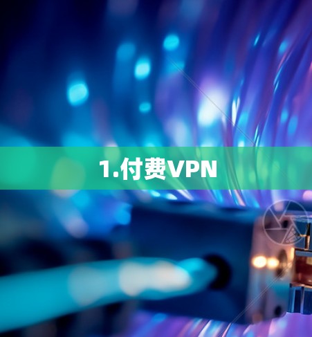 1.付费VPN