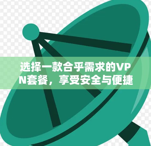 选择一款合乎需求的VPN套餐，享受安全与便捷的双线服务
