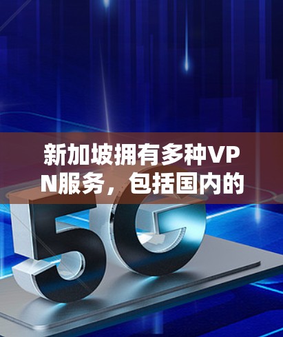 新加坡拥有多种VPN服务，包括国内的国内VPN和国际化的国际化的VPN。以下是新加坡主要的VPN线路和特点