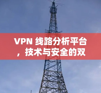 VPN 线路分析平台，技术与安全的双刃剑
