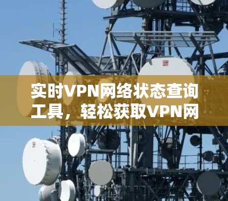 实时VPN网络状态查询工具，轻松获取VPN网络信息