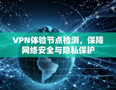 VPN体验节点检测，保障网络安全与隐私保护