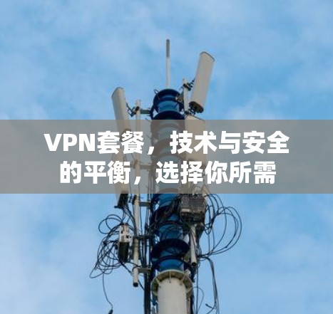 VPN套餐，技术与安全的平衡，选择你所需