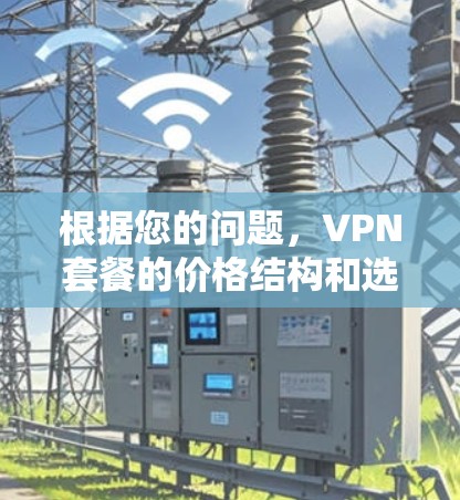 根据您的问题，VPN套餐的价格结构和选择通常取决于以下几个因素