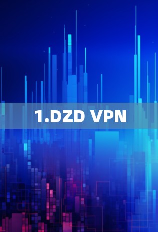 1.DZD VPN