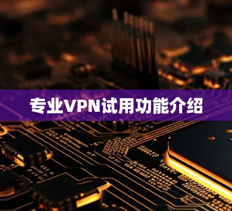 专业VPN试用功能介绍