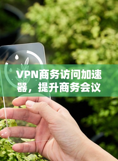 VPN商务访问加速器，提升商务会议体验的高效工具