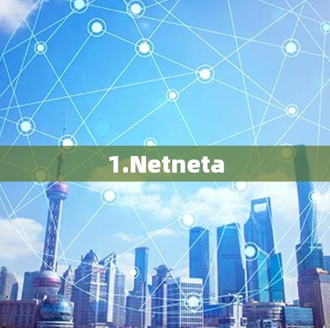 1.Netneta