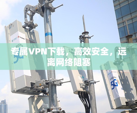 专属VPN下载，高效安全，远离网络阻塞