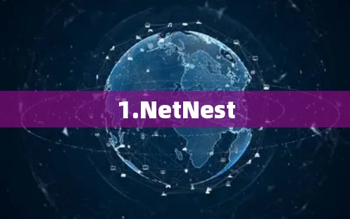 1.NetNest