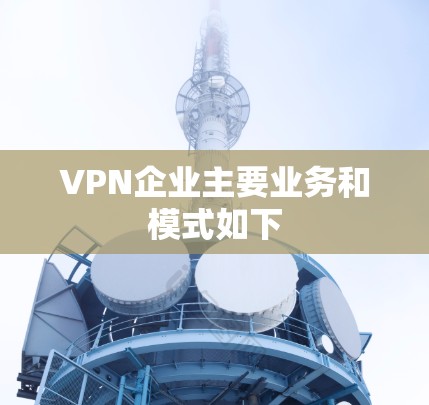 VPN企业主要业务和模式如下